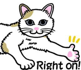 I am a cat.Thank you.5!(English) sticker #10008347