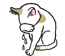 I am a cat.Thank you.5!(English) sticker #10008354