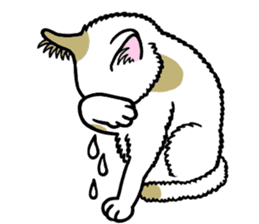 I am a cat.Thank you.5!(English) sticker #10008354
