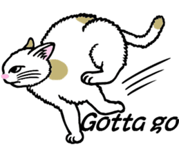 I am a cat.Thank you.5!(English) sticker #10008358