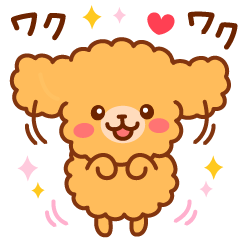 So lovely toy Poodle