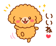 So lovely toy Poodle sticker #10012561