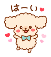 So lovely toy Poodle sticker #10012562