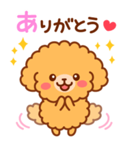 So lovely toy Poodle sticker #10012564