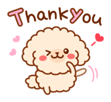 So lovely toy Poodle sticker #10012565