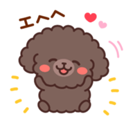 So lovely toy Poodle sticker #10012566