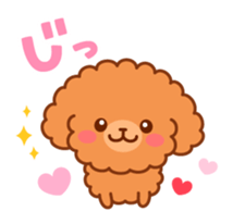 So lovely toy Poodle sticker #10012567
