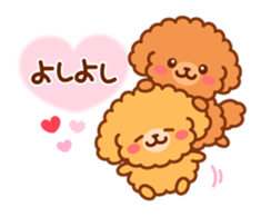 So lovely toy Poodle sticker #10012570