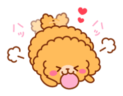 So lovely toy Poodle sticker #10012571