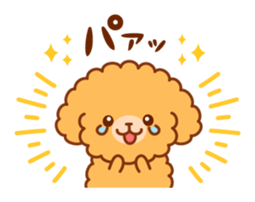 So lovely toy Poodle sticker #10012572