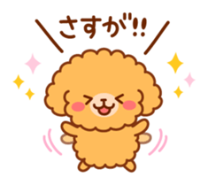 So lovely toy Poodle sticker #10012574