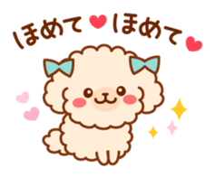 So lovely toy Poodle sticker #10012575