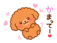 So lovely toy Poodle sticker #10012576