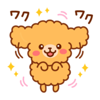 So lovely toy Poodle sticker #10012577