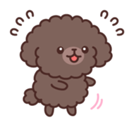 So lovely toy Poodle sticker #10012579