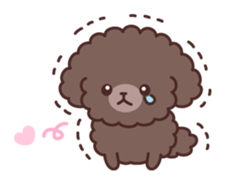 So lovely toy Poodle sticker #10012582