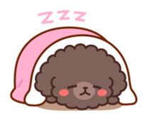 So lovely toy Poodle sticker #10012585