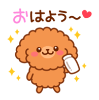 So lovely toy Poodle sticker #10012586