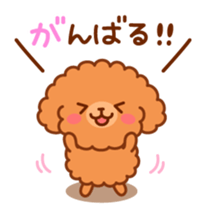 So lovely toy Poodle sticker #10012589