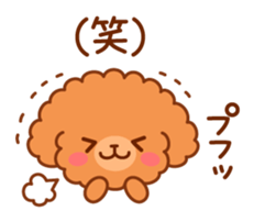 So lovely toy Poodle sticker #10012595