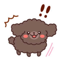 So lovely toy Poodle sticker #10012597
