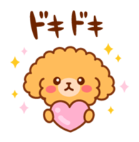 So lovely toy Poodle sticker #10012598
