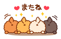 So lovely toy Poodle sticker #10012599