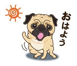 A sticker willingly. Pug sticker #10013144