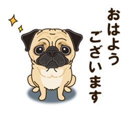 A sticker willingly. Pug sticker #10013145