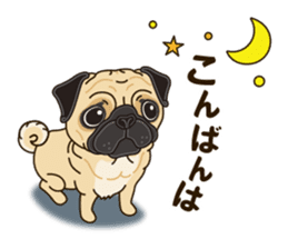 A sticker willingly. Pug sticker #10013146