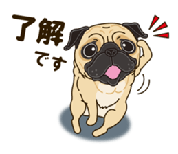 A sticker willingly. Pug sticker #10013148