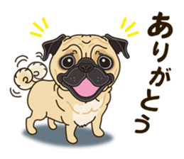 A sticker willingly. Pug sticker #10013149