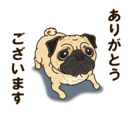 A sticker willingly. Pug sticker #10013150