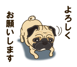 A sticker willingly. Pug sticker #10013151