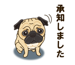 A sticker willingly. Pug sticker #10013152