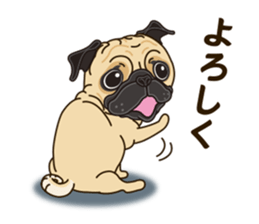 A sticker willingly. Pug sticker #10013154