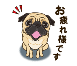 A sticker willingly. Pug sticker #10013155