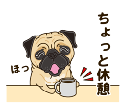 A sticker willingly. Pug sticker #10013156