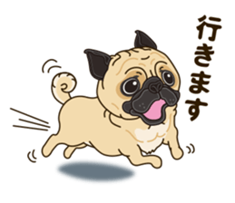 A sticker willingly. Pug sticker #10013159