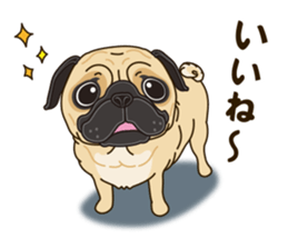 A sticker willingly. Pug sticker #10013160