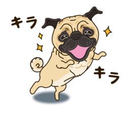 A sticker willingly. Pug sticker #10013161