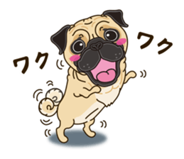 A sticker willingly. Pug sticker #10013162