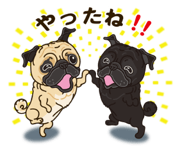 A sticker willingly. Pug sticker #10013164
