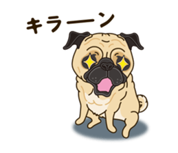 A sticker willingly. Pug sticker #10013166