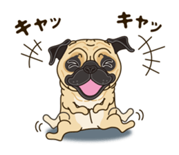 A sticker willingly. Pug sticker #10013167
