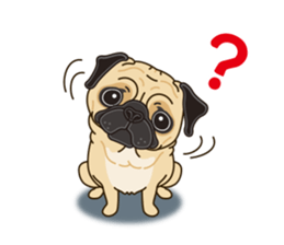 A sticker willingly. Pug sticker #10013168
