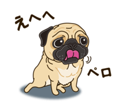 A sticker willingly. Pug sticker #10013170