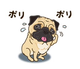 A sticker willingly. Pug sticker #10013171