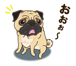 A sticker willingly. Pug sticker #10013172