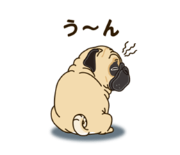 A sticker willingly. Pug sticker #10013173